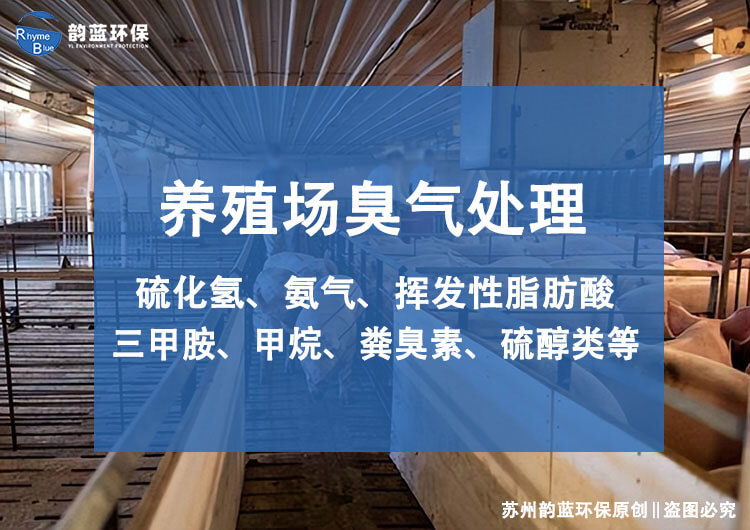 豬舍除臭設(shè)備，解決豬舍臭味的有效方法